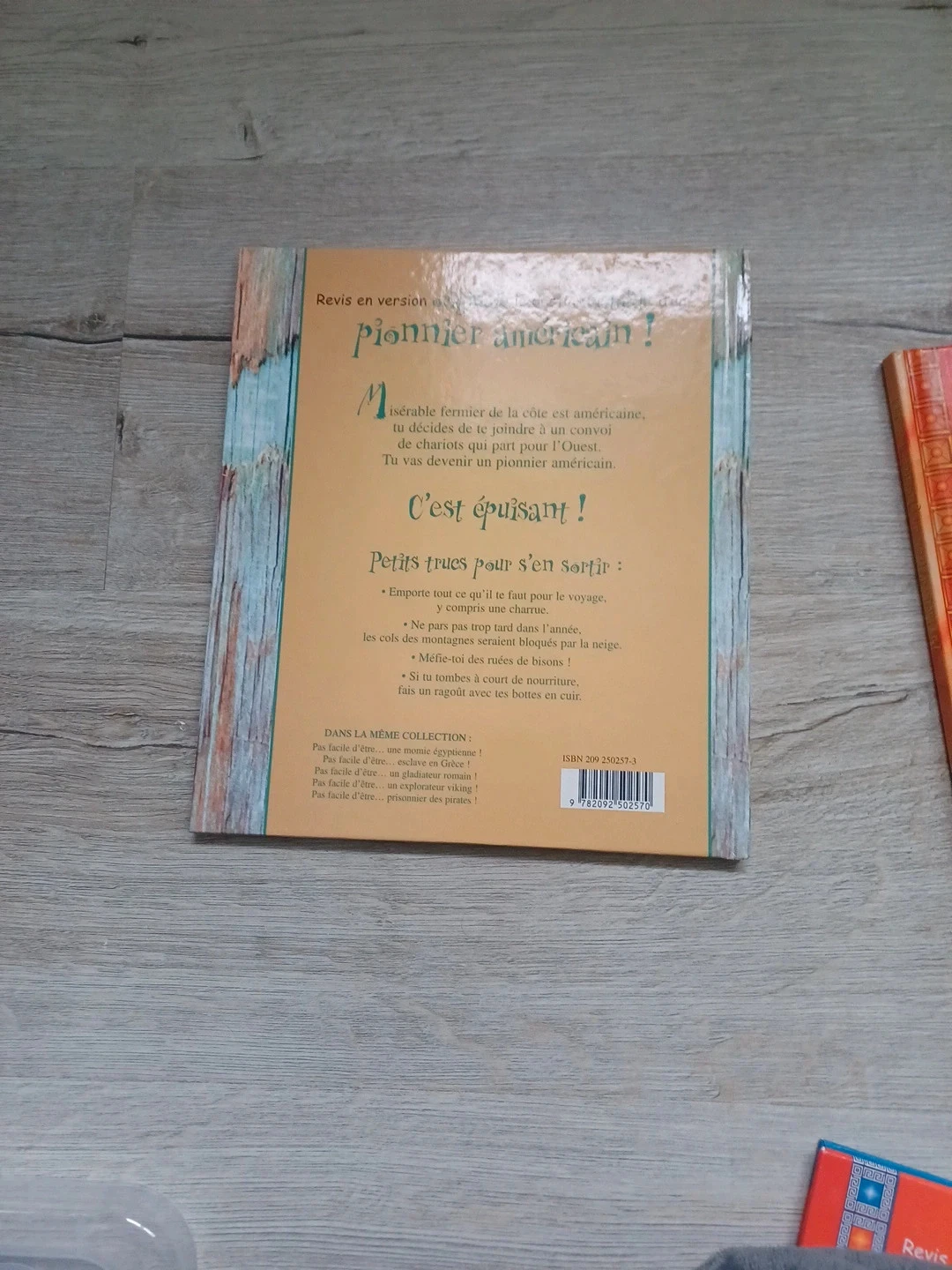 Não é fácil ser. lote de livros – photo 3
